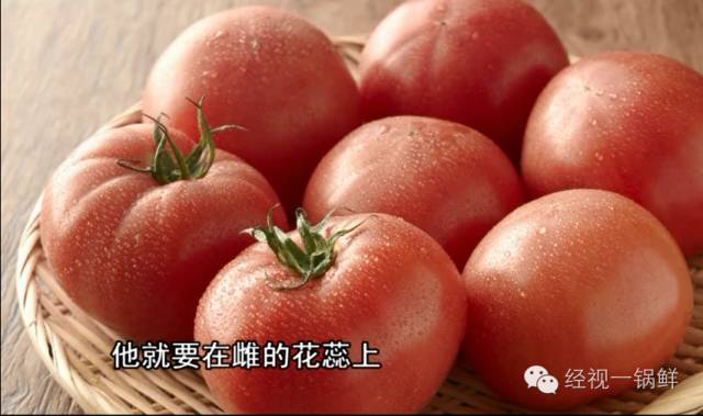 夏季蔬菜農(nóng)藥殘留排行榜