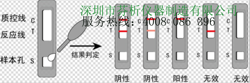 鹽酸克倫特羅檢測(cè)卡